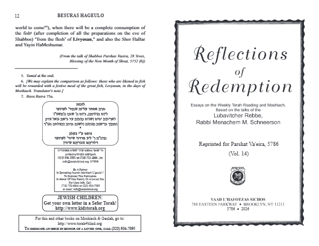 Reflections of Redemption — Parshas Va'eira