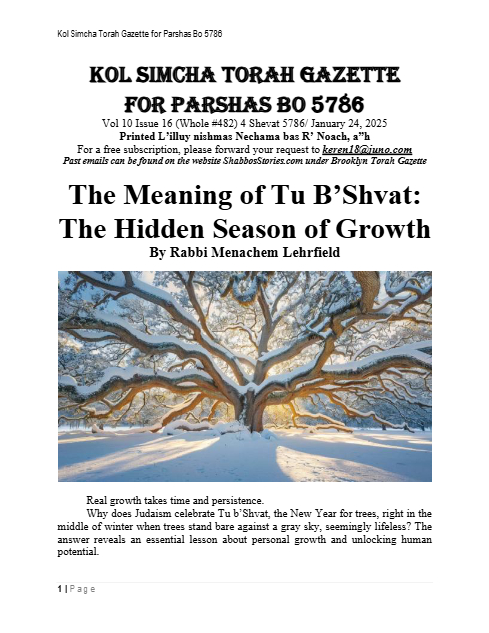 PDF Preview