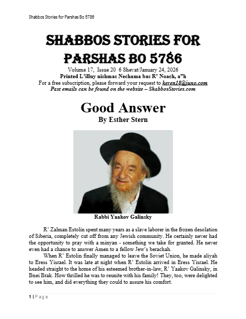 PDF Preview