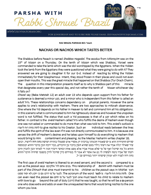 PDF Preview