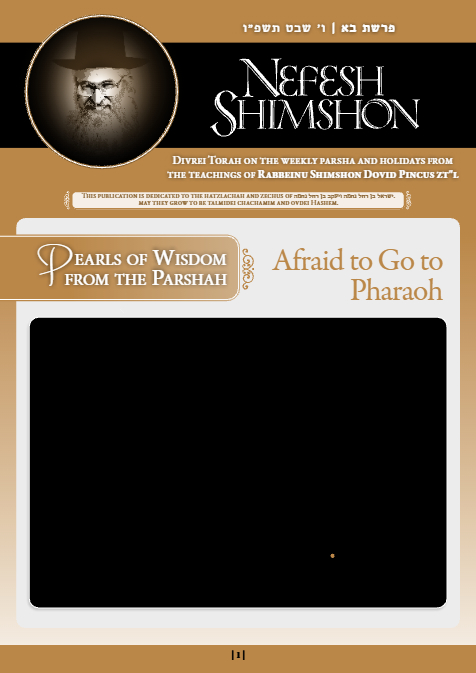 PDF Preview