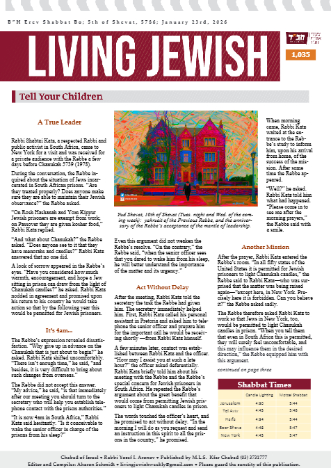 PDF Preview