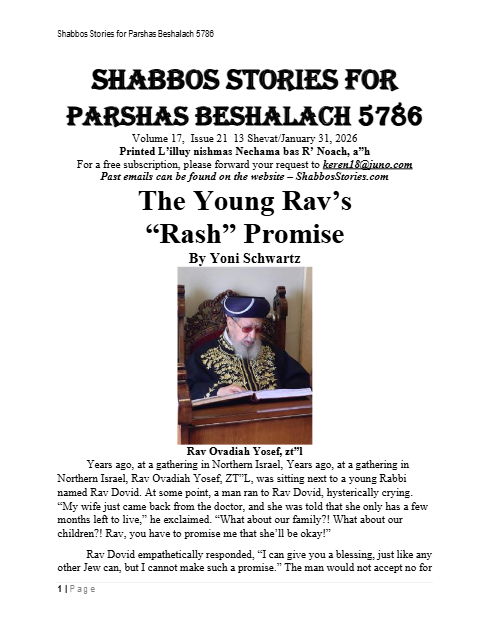 PDF Preview
