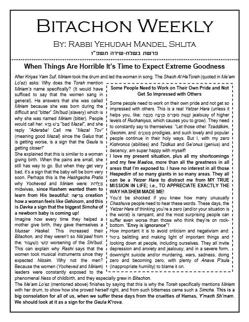 PDF Preview