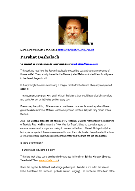 PDF Preview
