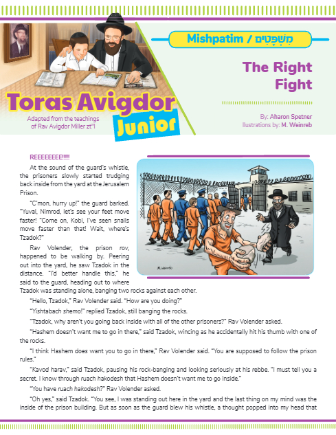 PDF Preview