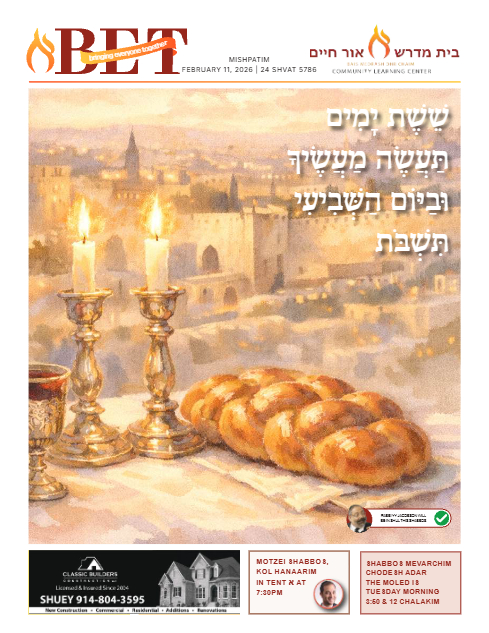 PDF Preview