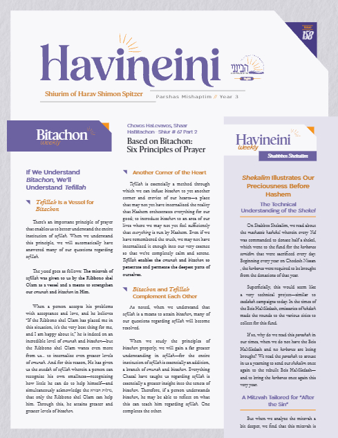 Havineini — Parshas Mishpatim