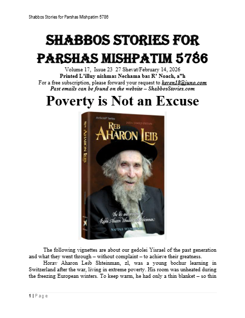 PDF Preview