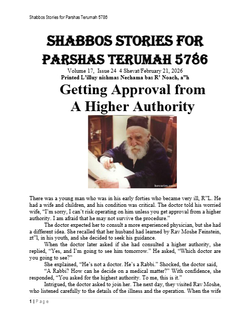 PDF Preview