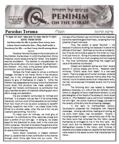 PDF Preview