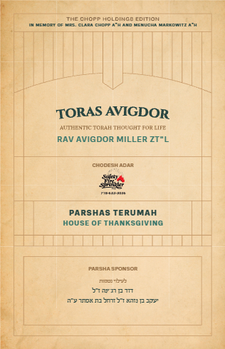 PDF Preview
