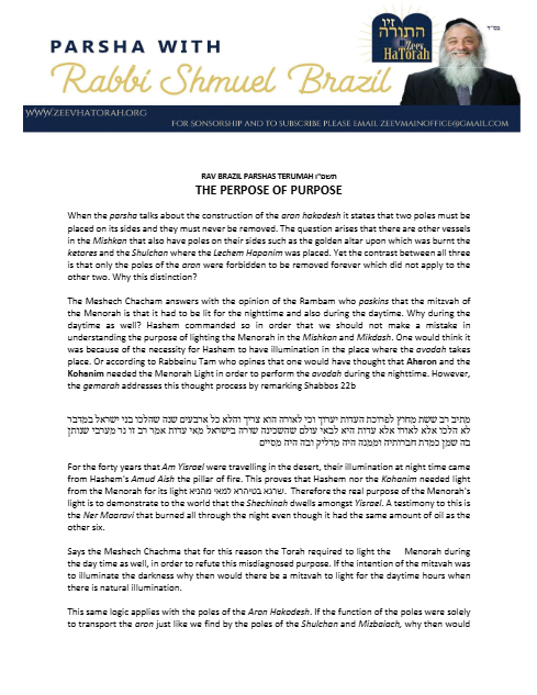 PDF Preview