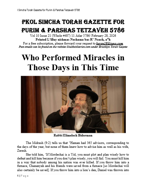PDF Preview