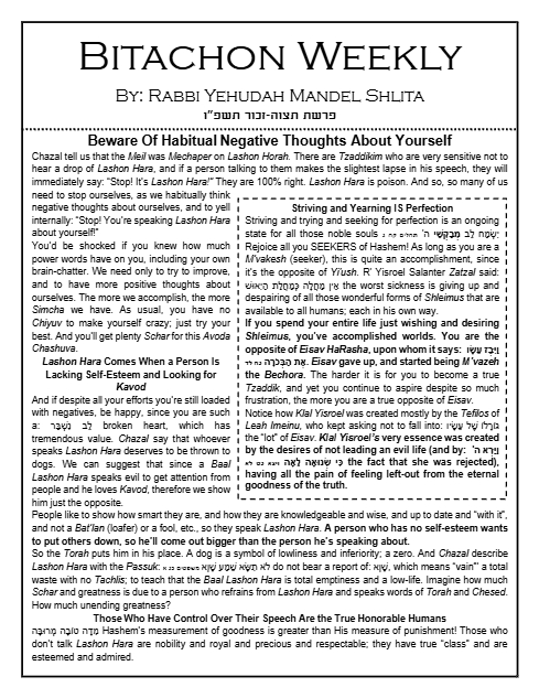 Bitachon Weekly — Parshas Tetzaveh