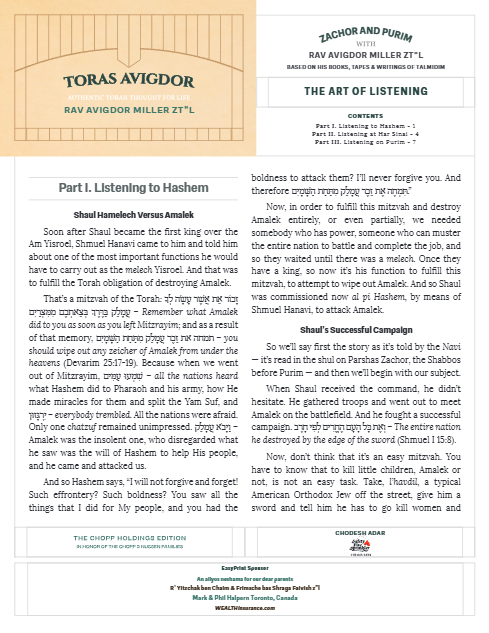 PDF Preview