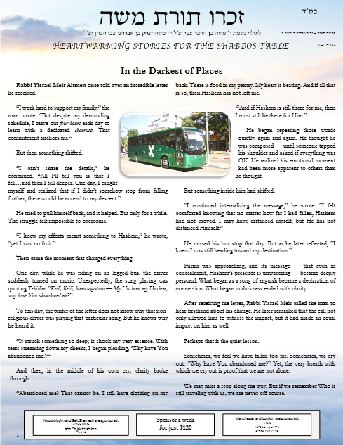 PDF Preview