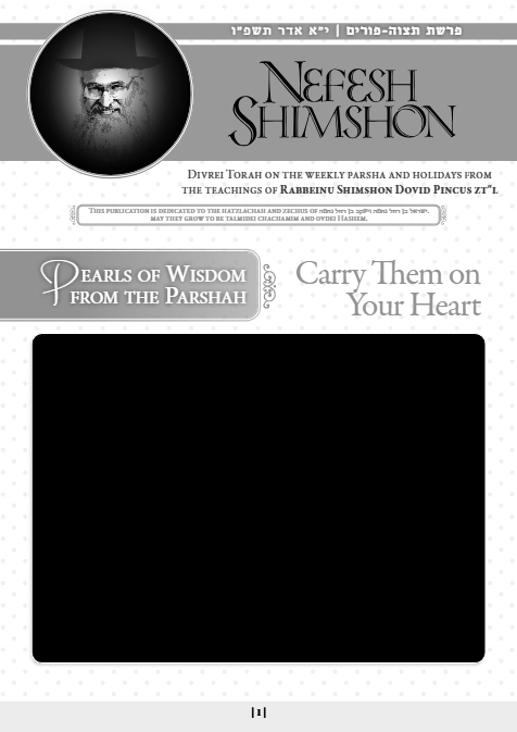 PDF Preview