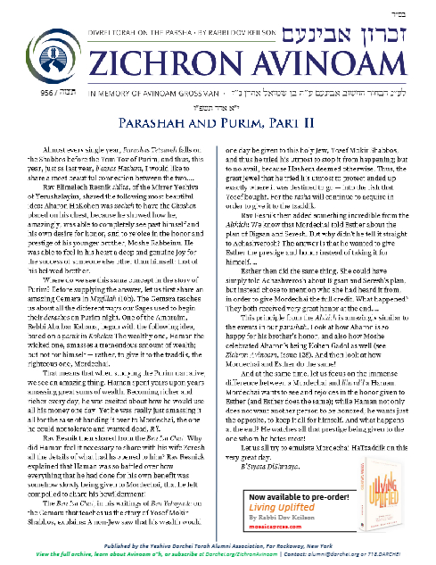 PDF Preview