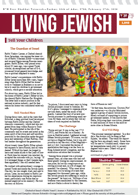 PDF Preview