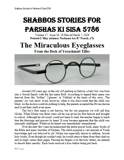 PDF Preview