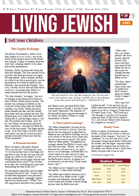 PDF Preview