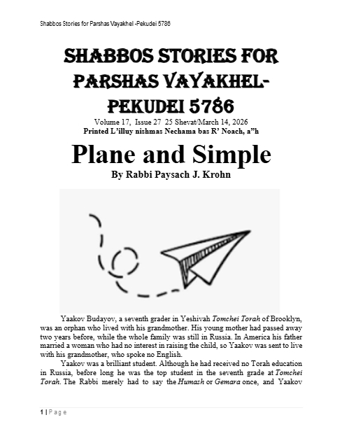 PDF Preview