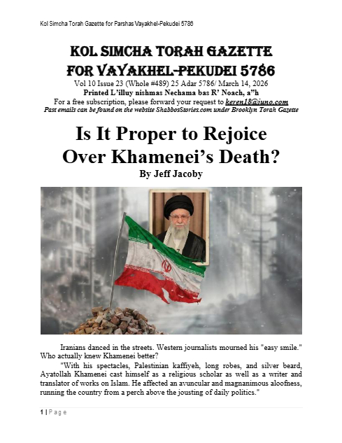 PDF Preview