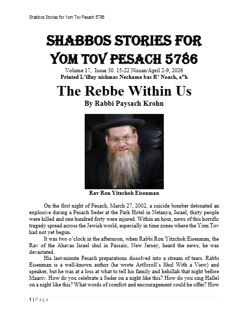 PDF Preview