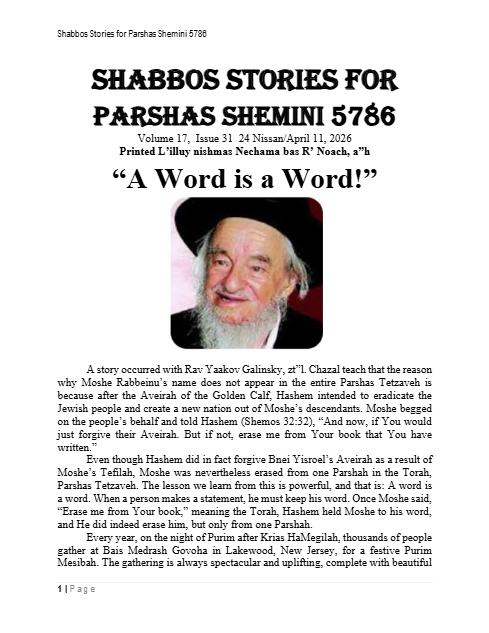 PDF Preview