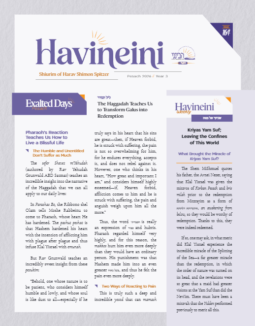 Havineini — Parshas Shemini
