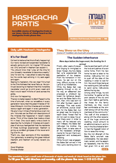 PDF Preview