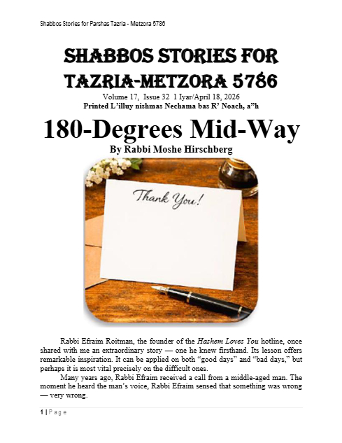 PDF Preview