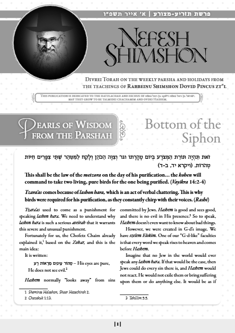Nefesh Shimshon — Parshas Tazria-Metzora