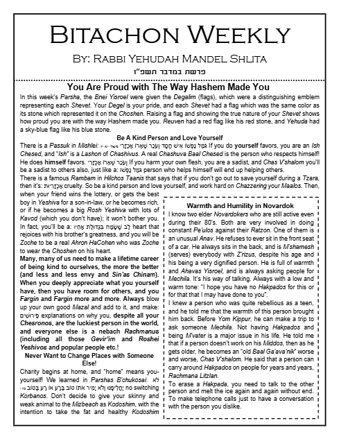 Bitachon Weekly — Parshas Bamidbar