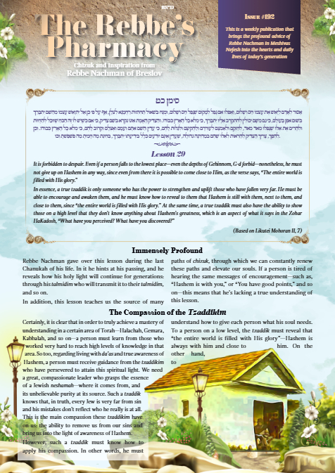 The Rebbe's Pharmacy — Parshas Bamidbar