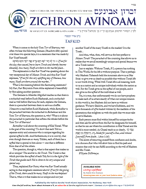 Zichron Avinoam — Parshas Bamidbar