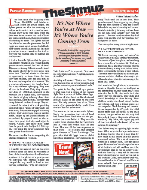 The Shmuz — Parshas Bamidbar