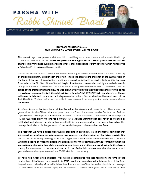 Parsha with Rabbi Shmuel Brazil — Parshas Bamidbar