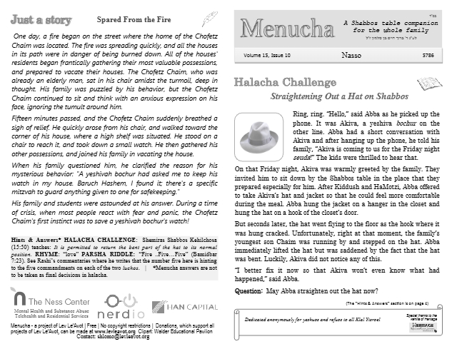 Menucha Magazine — Parshas Naso