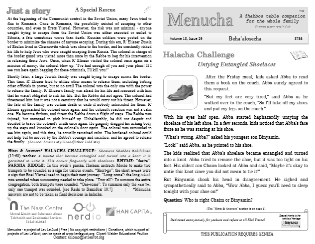 Menucha Magazine — Parshas Bamidbar