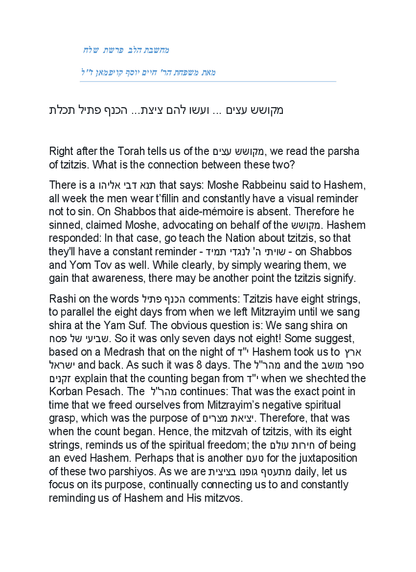 Zichron Avinoam — Parshas Shlach/Korach