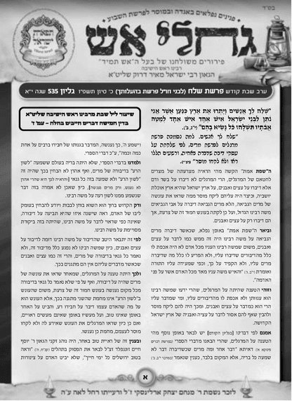 Zichron Avinoam — Parshas Shlach/Korach