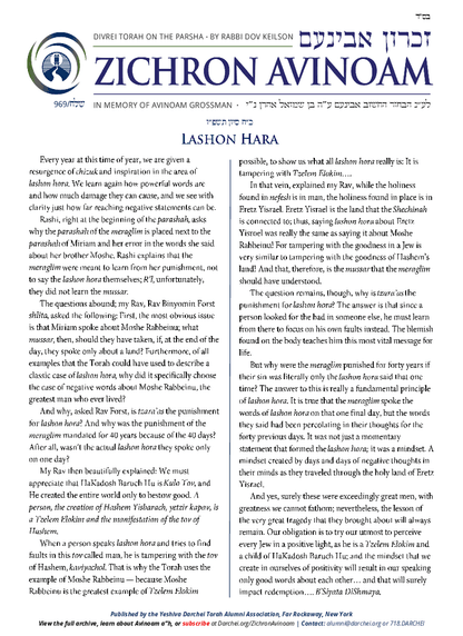 Zichron Avinoam — Parshas Shlach/Korach