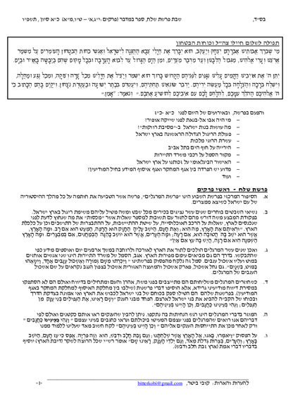Zichron Avinoam — Parshas Shlach/Korach