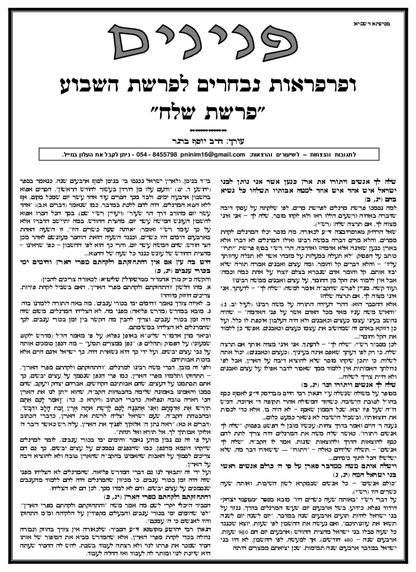 Zichron Avinoam — Parshas Shlach/Korach