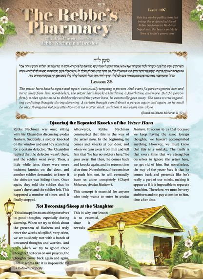 The Rebbe's Pharmacy — Parshas Korach-Chukas